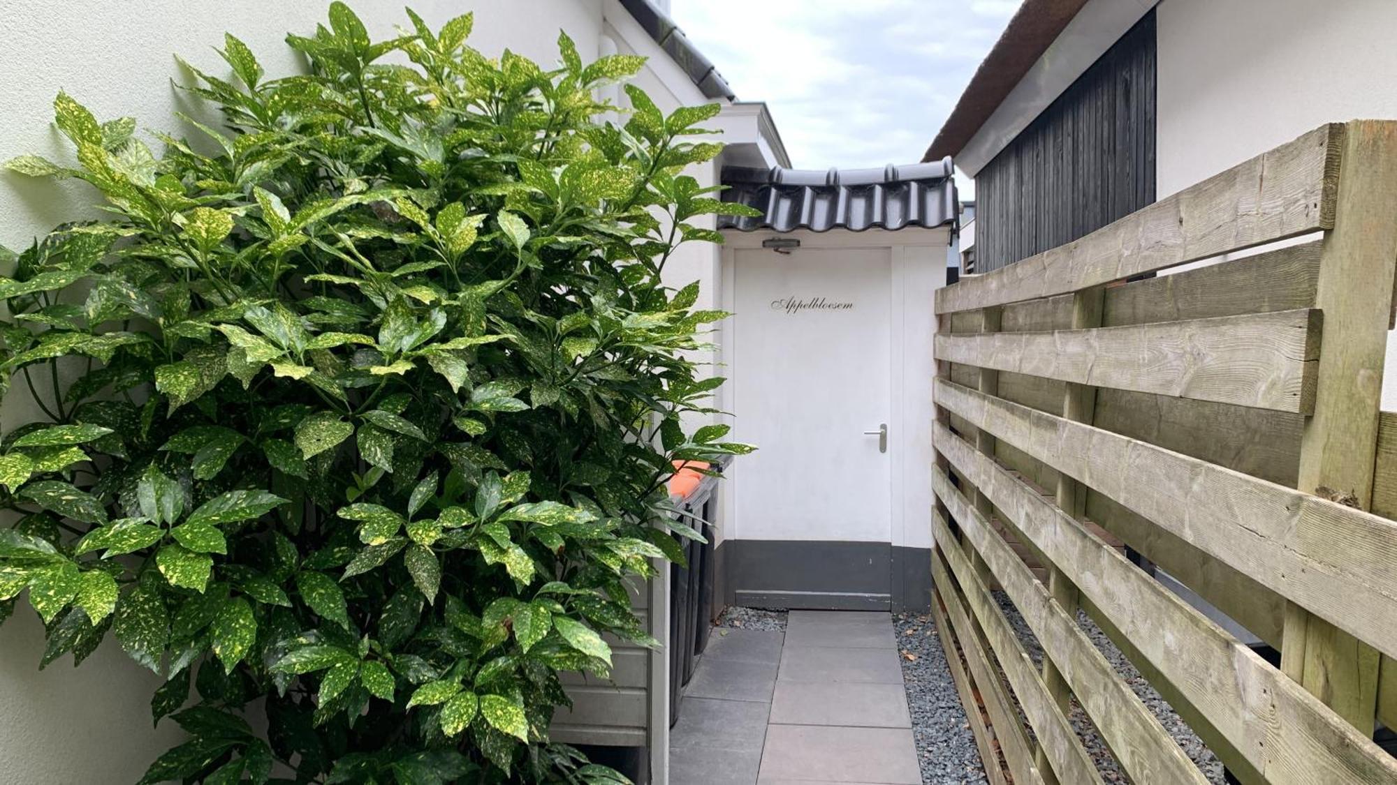 Vila Appelbloesem Bergen Exteriér fotografie
